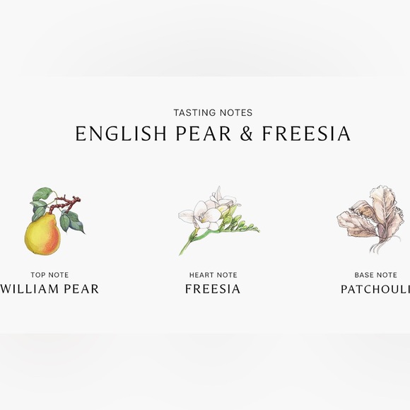 JO MALONE English Pear & Freesia Travel Size Candle Gift Set - Picture 5 of 6